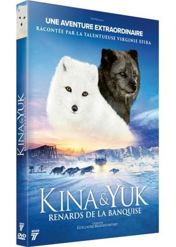 Kina & yuk renards de la banquise